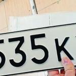 Красивый гос номер Е535КХ 96