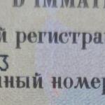 Красивый гос номер Р200ВР 323