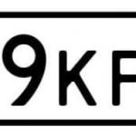 Красивый гос номер С659КР 196