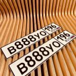 Красивый гос номер В888УО 196