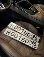 Фото номера Н001ЕО 96