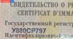 Фото номера У880СР 797